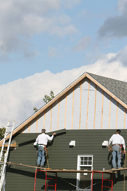  Nashvle, IL Siding Pros